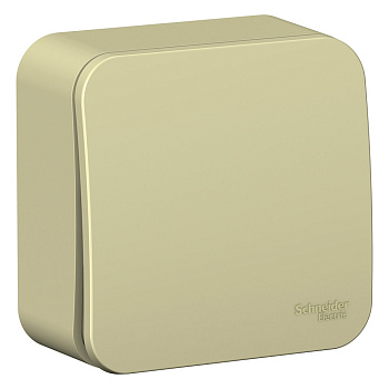 BLANCA О/У 1-клавишный ПЕРЕКЛЮЧАТЕЛЬ (сх.6) ИЗОЛ.ПЛ., 10А, 250В, БЕЖЕВЫЙ