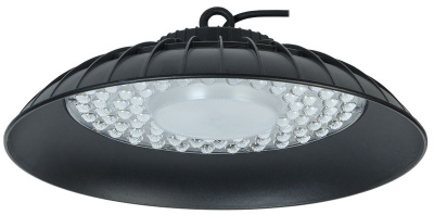 Светильник ДСП 3010 PRO 200Вт 60гр 6500К IP65 алюминий IEK