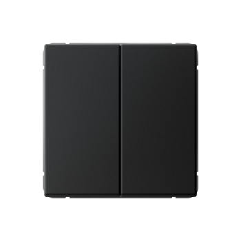 ARTGALLERY 2-клавишный ПЕРЕКЛЮЧАТЕЛЬ, сх.6/2, 10АХ, механизм, КАРБОН