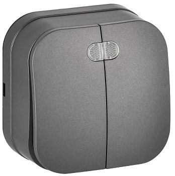 GLORY Выключ. 2-кл. с инд. о/у 10А ВС20-2-1-ХСм сталь м. IEK